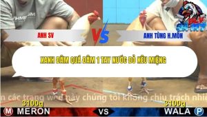 Trận 11 Bồ CPC4 24/11/2025