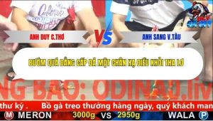 Trận 11 Bồ CPC5 27/11/2025