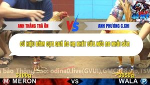 Trận 14 Bồ CPC4 27/11/2025