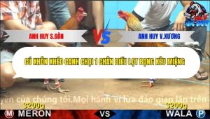 Trận 15 Bồ CPC4 27/11/2025