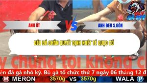 Trận 15 Bồ CPC5 ngày 29/11/2025