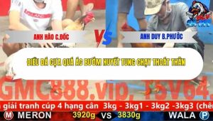 Trận 5 Bồ CPC5 25/11/2025