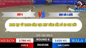 Trận 6 Bồ Tonhon 28/11/2025