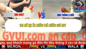 Trận 10 Bồ CPC5 11/12/2025