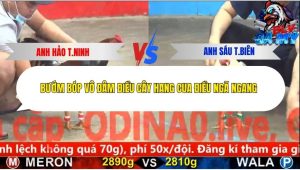 Trận 10 Bồ CPC5 26/12/2025