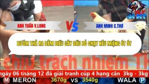 Trận 10 Bồ CPC5 5/12/2025