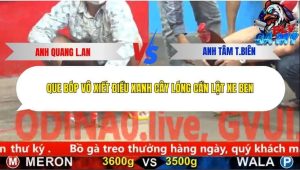 Trận 11 Bồ CPC5 26/12/2025