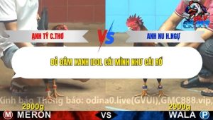 Trận 12 Bồ CPC4 29/12/2025