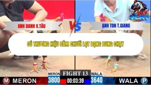 Trận 13 Bồ CPC3 28/12/2025