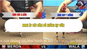 Trận 13 Bồ CPC4 11/12/2025