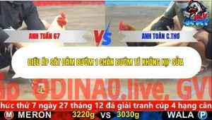 Trận 13 Bồ CPC5 23/12/2025