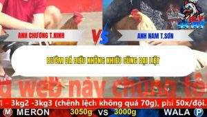 Trận 13 Bồ CPC5 9/12/2025