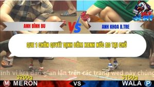 Trận 14 Bồ CPC4 11/12/2025