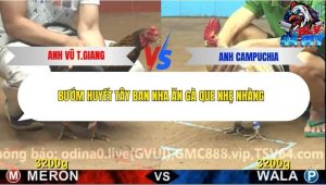 Trận 14 Bồ CPC4 15/12/2025