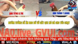 Trận 14 Bồ CPC5 27/12/2025