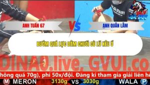 Trận 14 Bồ CPC5 29/12/2025