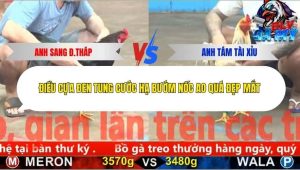 Trận 15 Bồ CPC5 2/12/2025