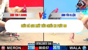 Trận 16 Bồ CPC3 21/12/2025