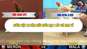 Trận 16 Bồ CPC4 11/12/2025