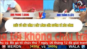Trận 16 Bồ CPC5 6/12/2025