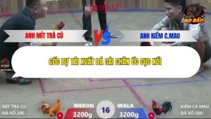 Trận 16 Bồ Xà Xía 19/12/2025