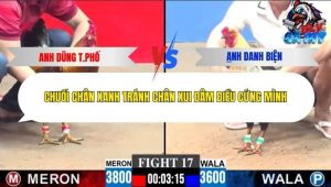 Trận 17 Bồ CPC3 28/12/2025