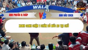 Trận 17 Bồ Tonhon 10/12/2025