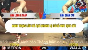 Trận 18 Bồ CPC4 2/12/2025