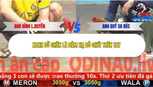 Trận 18 Bồ CPC5 25/12/2025