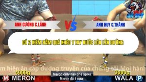 Trận 19 Bồ CPC4 18/12/2025