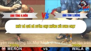 Trận 19 Bồ CPC4 27/12/2025