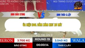 Trận 19 Bồ Tonhon 10/12/2025