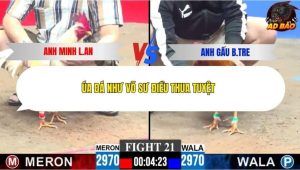 Trận 21 Bồ CPC3 7/12/2025