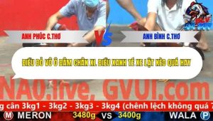 Trận 21 Bồ CPC5 25/12/2025