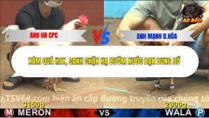 Trận 22 Bồ CPC4 9/12/2025