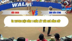 Trận 26 Bồ Tonhon 3/12/2025