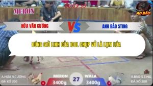 Trận 27 Bồ Xà Xía 7/12/2025