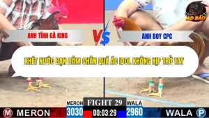 Trận 29 Bồ CPC3 7/12/2025