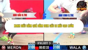 Trận 3 Bồ CPC3 7/12/2025