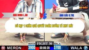 Trận 30 Bồ CPC3 7/12/2025