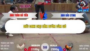 Trận 50 Bồ Xà Xía 19/12/2025