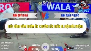 Trận 8 Bồ Xà Xía 30/12/2025