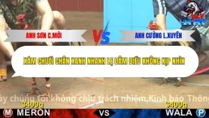 Trận 9 Bồ CPC4 23/12/2025