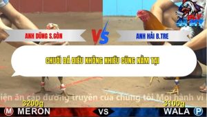 Trận 9 Bồ CPC4 5/12/2025